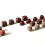 Dandelion Chocolate Pearls of the Forest Bonbon Collection