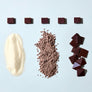 Dandelion Chocolate Single-Origin Truffle Collection