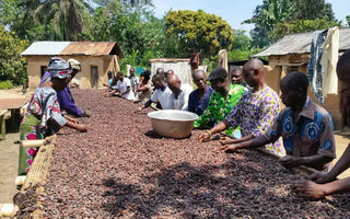 A NEW ORIGIN: KPALIMÉ, TOGO