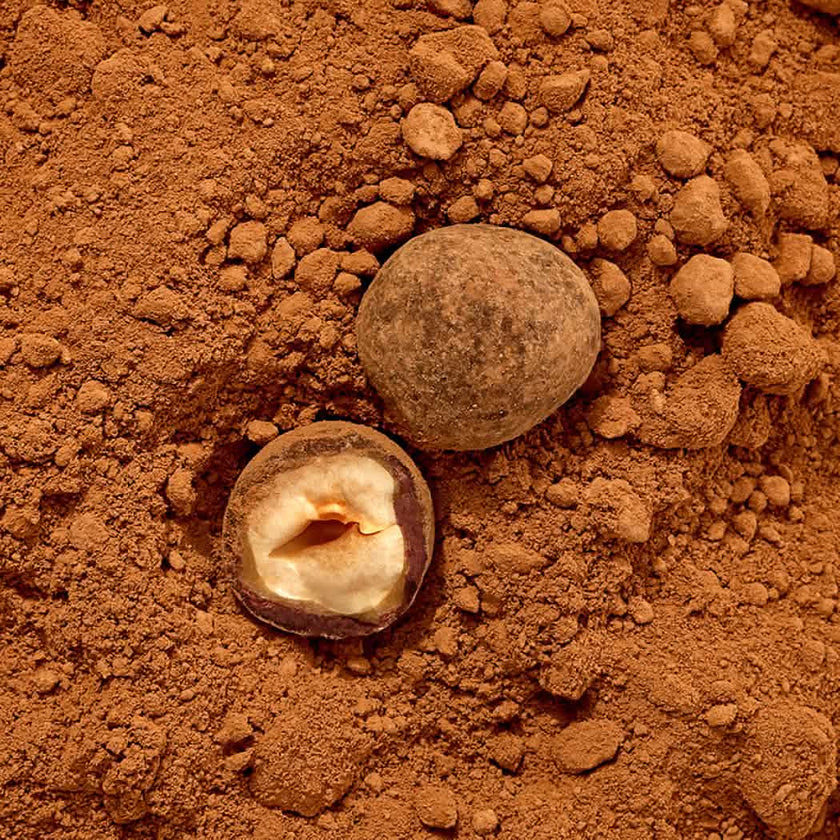 Chocolate Dragees Hazelnuts