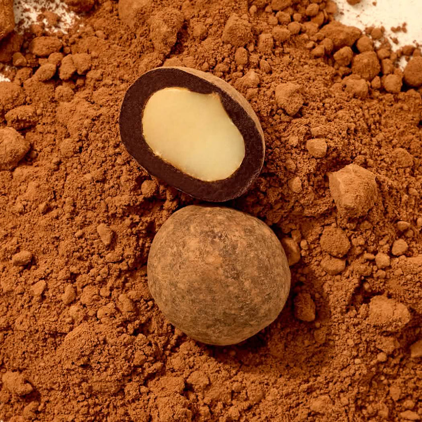 Macadamia Dragees