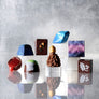 Dandelion Chocolate 2026 Advent Calendar Preorder