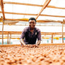 Dandelion Chocolate Chocolate Bar Semuliki Forest, Uganda 85% Single-Origin Chocolate Bar