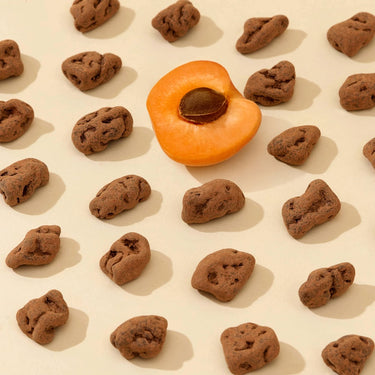Dandelion Chocolate Chocolate-Covered Apricots