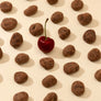 Dandelion Chocolate Chocolate-Covered Fruit Trio