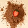 Dandelion Chocolate Chocolate-Covered Strawberries