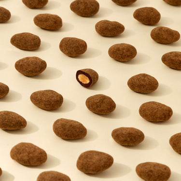 Chocolate Dragée Almonds – Dandelion Chocolate