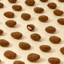 Dandelion Chocolate Chocolate Dragée Almonds