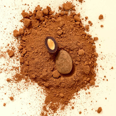 Dandelion Chocolate Chocolate Dragée Almonds