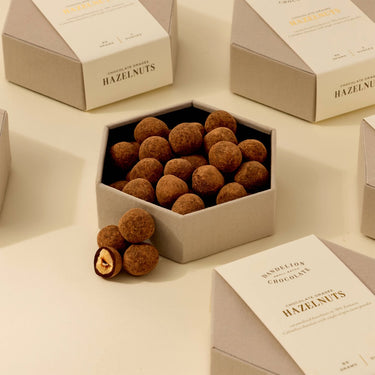 Dandelion Chocolate Chocolate Dragée Hazelnuts
