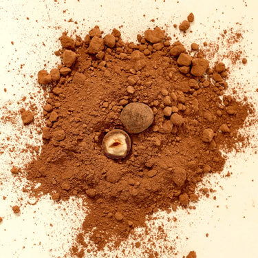 Dandelion Chocolate Chocolate Dragée Hazelnuts