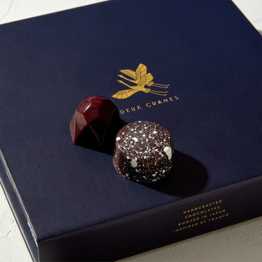 Dandelion Chocolate City of Light Collection