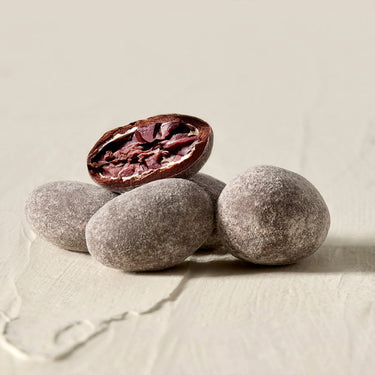 Cocoa Crudo – Dandelion Chocolate