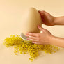 Dandelion Chocolate Grand Easter Egg