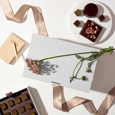 Dandelion Chocolate Love Notes Collection