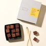Dandelion Chocolate NAMA Chocolate - IYOKAN