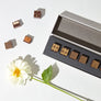Dandelion Chocolate Origin Bonbon Collection