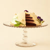 Dandelion Chocolate Pastry Spring Celebration Cake