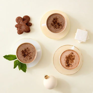 Seasonal Hot Chocolate Mix Trio with Marshmallows – Dandelion