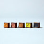 Dandelion Chocolate Single-Origin Praliné Collection (5 piece)