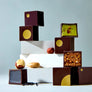 Dandelion Chocolate Single-Origin Praliné Collection (5 piece)