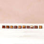 Dandelion Chocolate Valentine's Day Origin Bonbon Collection