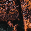 Dandelion Chocolate Cocoa Nibs Cocoa Nibs Maya Mountain, Belize 2021 Harvest