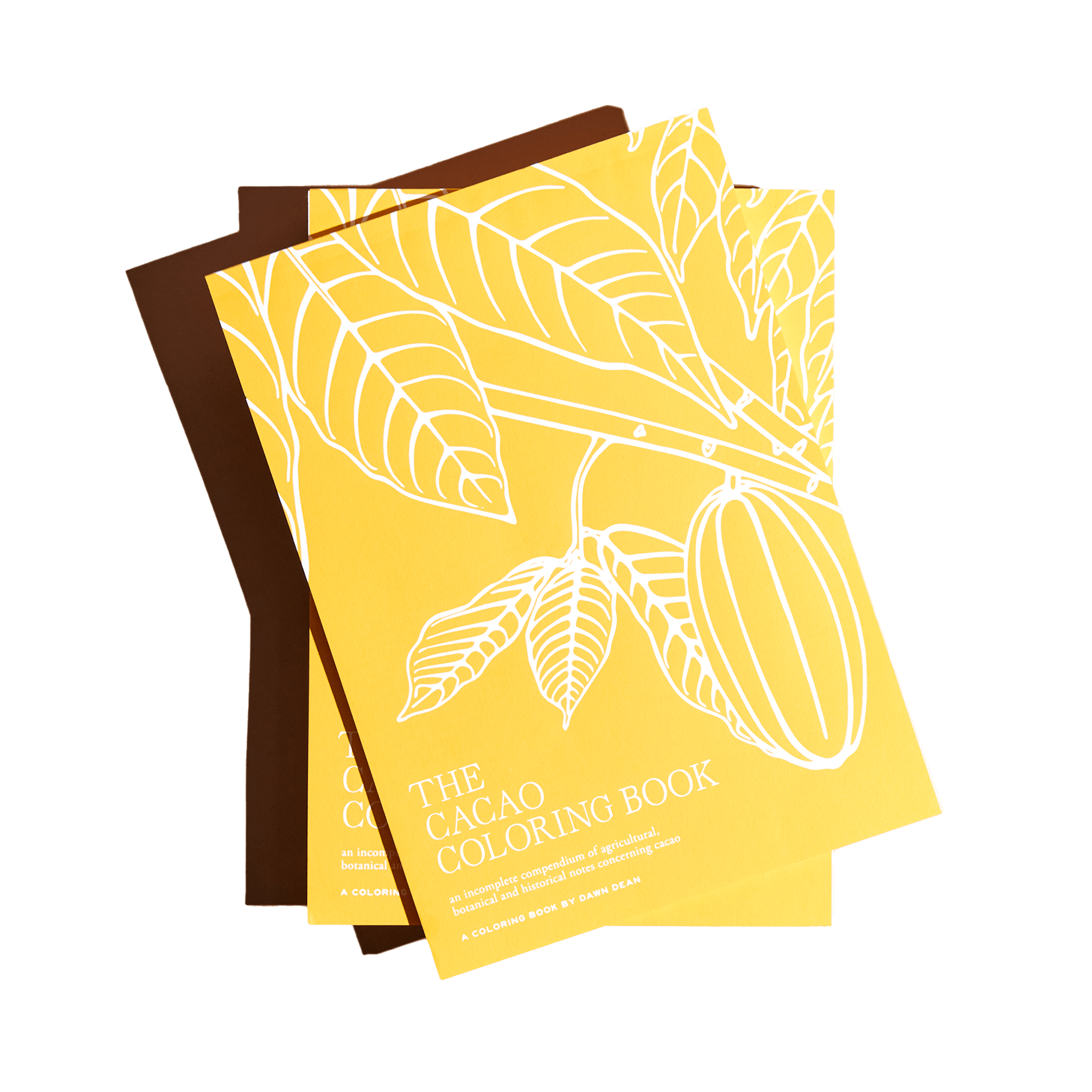 Dandelion Chocolate The Cacao Coloring Book By Dawn Dean